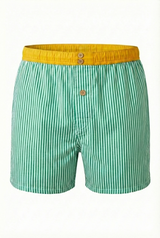 Caleçon Classique 1005